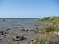 Western Michigan [2010] 775